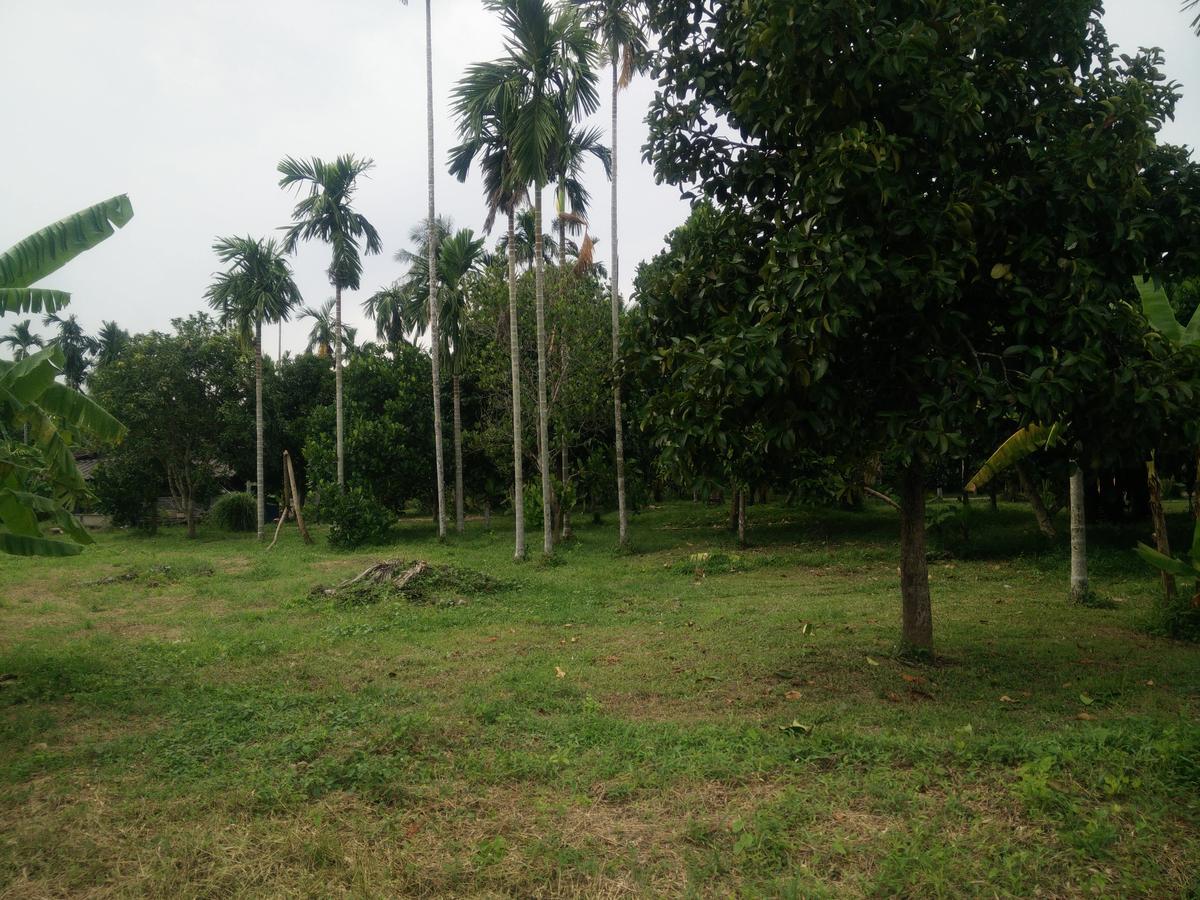 Deva Garden Resort Prachinburi Exterior foto